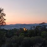 Athens Western Hills Guided Walking Tour - A Detailed Look at the Athens Western Hills Guided Walk