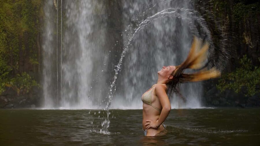 Atherton Tablelands: Lakes, Waterfalls, Rainforest Day Tour - What’s Included and the Experience Value