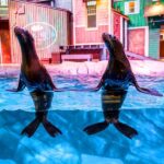 Atlanta: Georgia Aquarium Skip-the-Box-Office Entry Ticket - Authentic Experiences from Visitors