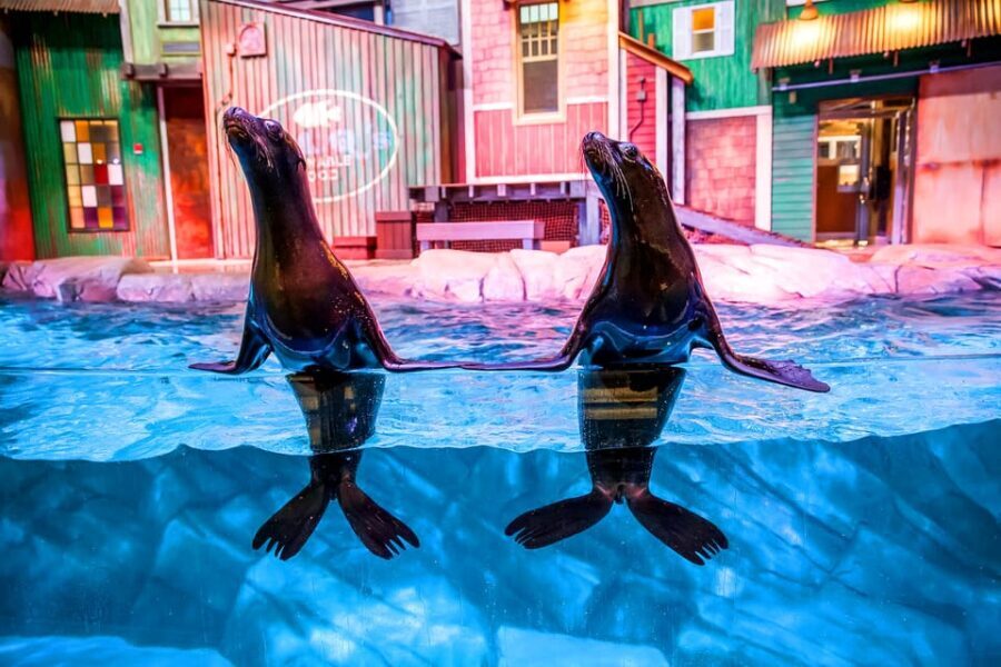 Atlanta: Georgia Aquarium Skip-the-Box-Office Entry Ticket - Authentic Experiences from Visitors