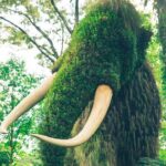 Atlanta Self-Guided Audio Tour - An In-Depth Look at the Tour Itinerary