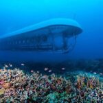 Atlantis Submarine from Kona Beach - Why This Tour Stands Out