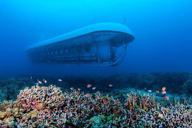 Atlantis Submarine from Kona Beach - Why This Tour Stands Out