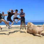 ATV and Camel Ride COMBO Adventure - Final Value and Who It’s For