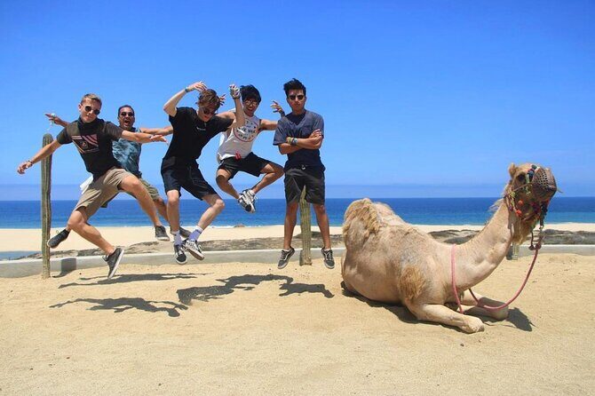 ATV and Camel Ride COMBO Adventure - Final Value and Who It’s For