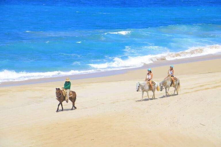 ATV Automatic 4X4 & Horseback riding in Cabo by Cactus Tours - An Itinerary Packed With Highlights
