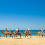ATV & Camel Ride Tour on Migriño Beach - Who Would Love This Tour?