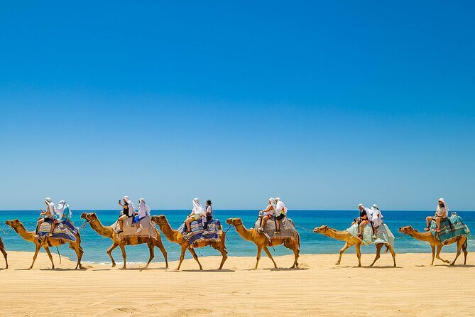 ATV & Camel Ride Tour on Migriño Beach - Who Would Love This Tour?