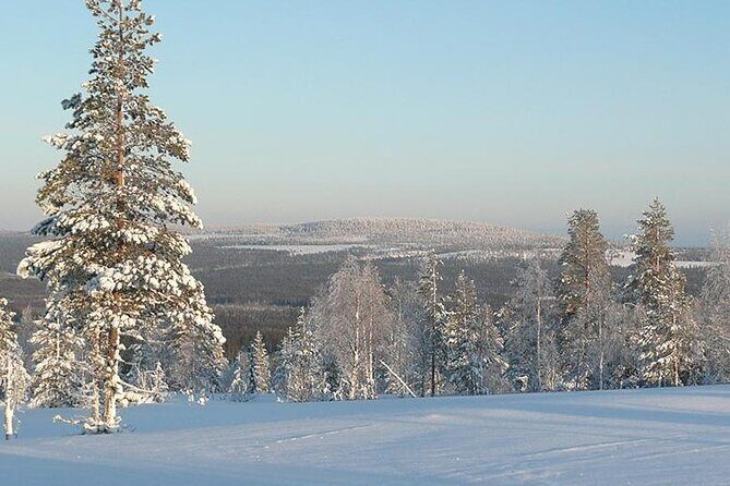 ATV Safari on Ice and Snow - Full Review: Exploring Rovaniemi’s Wondrous Wilderness on ATV