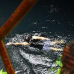 Atv Tour In Cancun (swim Cenote, Tarzan Jump And 5 Ziplines Included) - Who Should Consider This Tour