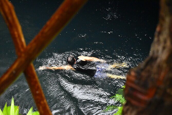 Atv Tour In Cancun (swim Cenote, Tarzan Jump And 5 Ziplines Included) - Who Should Consider This Tour