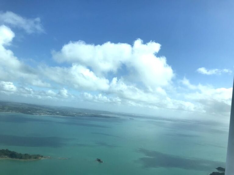 Auckland: Auckland City & Hauraki Gulf Scenic Flight - Who Will Love This Tour?