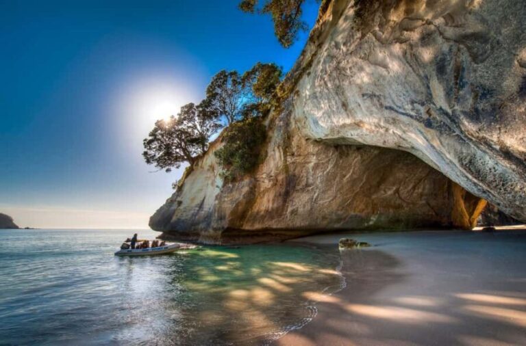 Auckland: Cathedral Cove and Coromandel Small Group Tours - What Sets This Tour Apart