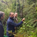 Auckland City, Beaches & Rainforest Premium Small Group Tour - FAQs