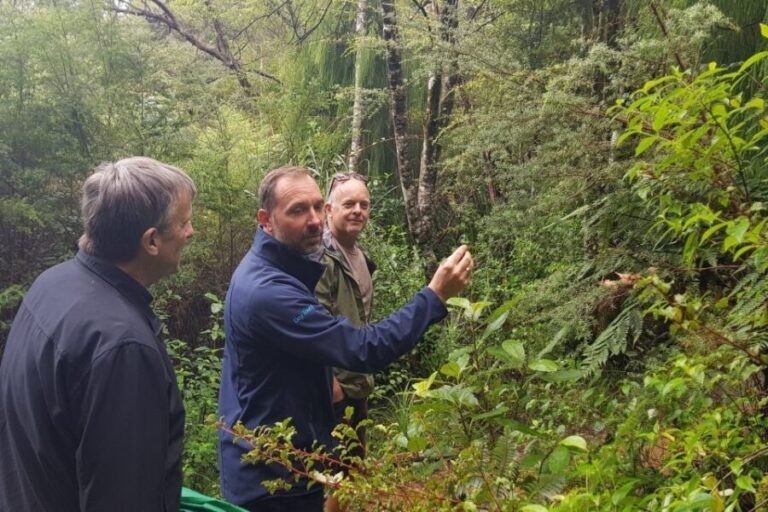 Auckland City, Beaches & Rainforest Premium Small Group Tour - FAQs