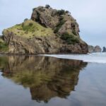 Auckland City Full Tour -PRIVATE TOUR - What Makes This Tour Stand Out?