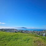 Auckland City Halfday Tour - Practical Details for Travelers