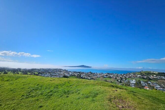 Auckland City Halfday Tour - Practical Details for Travelers