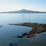 Auckland: City Highlights and Native Forest Experience - Why This Tour Offers Great Value