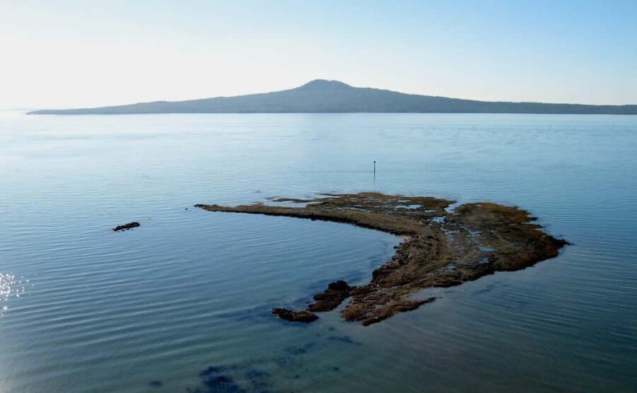 Auckland: City Highlights and Native Forest Experience - Why This Tour Offers Great Value