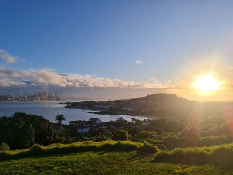 Auckland City Highlights Full Day Tour - What’s Not Included and How to Prepare