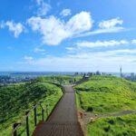 Auckland City Highlights Half Day Tour - Practical Details That Matter