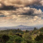 Auckland City Highlights Small-Group Tour (Half-Day) - Who Will Love This Tour?