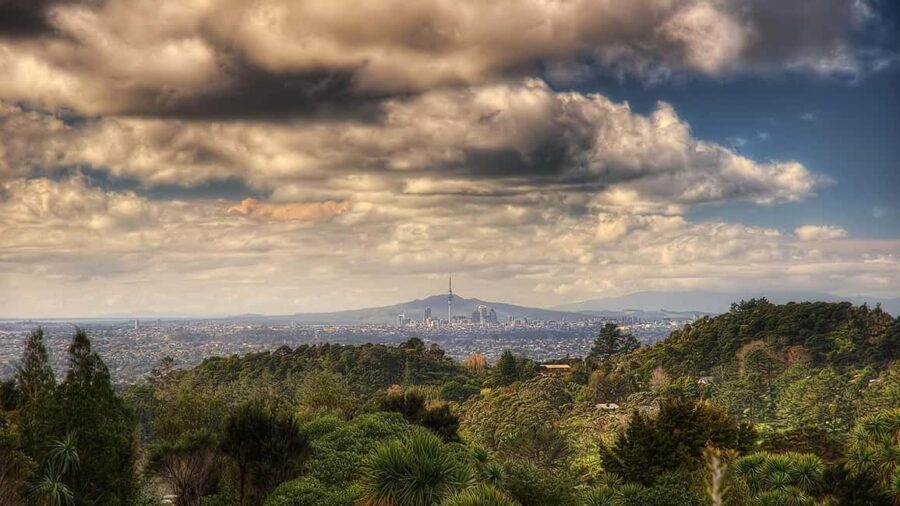 Auckland City Highlights Small-Group Tour (Half-Day) - Who Will Love This Tour?