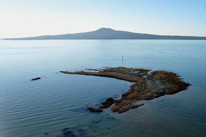 Auckland City & Native Forest Experience - Fully Guided Day Tour - Who Should Consider This Tour?