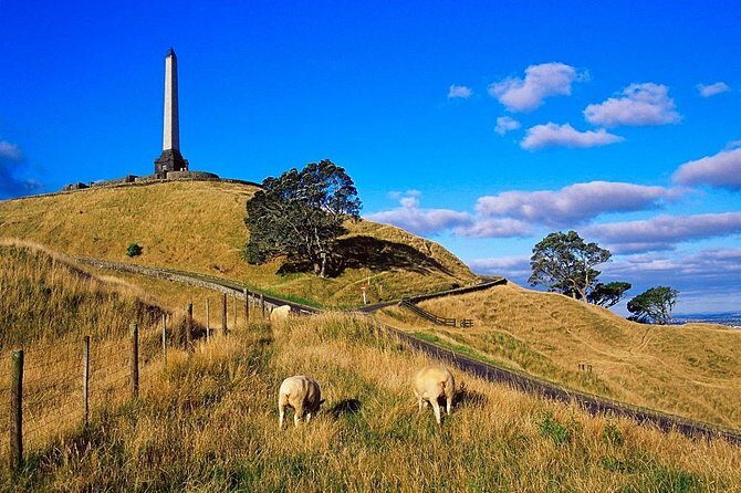 Auckland City Private Tour for Couples. Be chauffeur driven with added extras. - The Sum Up