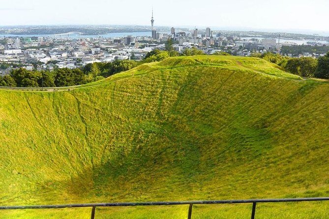 Auckland City Tour  Fast, Fun & Full of Views! (Half-Day) - Authentic Traveler Experiences