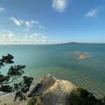 Auckland: City Tour with Wine Tasting and Black Sand Beach - The Coastal Adventures: Black Sand Beaches and Scenic Views