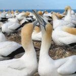Auckland: Coast to Coast Private Eco Tour - Who Will Love This Tour?