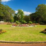 Auckland Coastal Experience - Small Group City & Beach Tour Incl. Wine Tasting - Breathtaking Views and Cultural Highlights