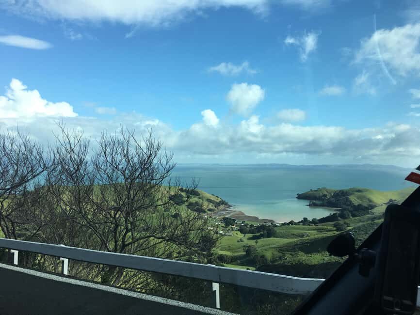 Auckland: Coromandel Beach, Caves & Forest Private Tour - Who Will Love This Tour?