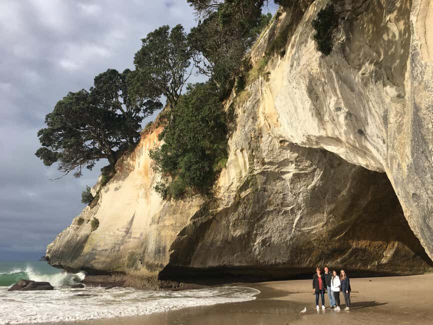 Auckland: Coromandel Day Tour including Hot Water Beach - What Makes This Tour Stand Out