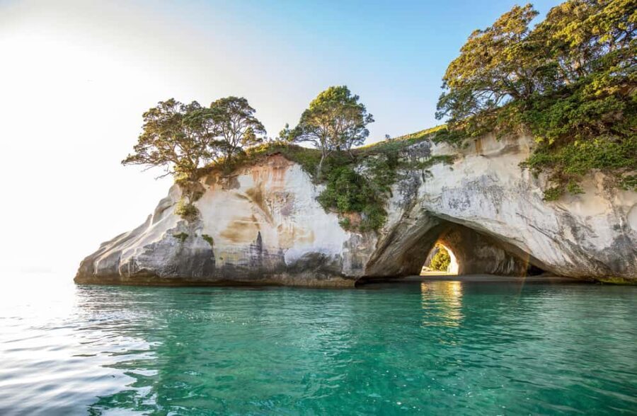 Auckland: COROMANDEL Driving Creek & CATHEDRAL COVE day tour - Authentic Experiences and Authenticity