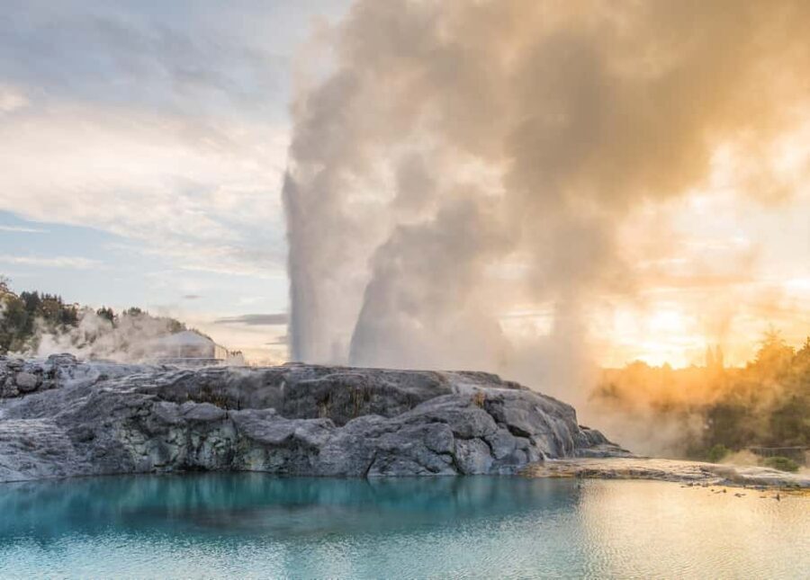Auckland: Full-Day Trip to Rotorua Geothermal Valley - Who Will Love This Tour?