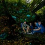 Auckland Glowworm Tour - Who Will Love This Tour?
