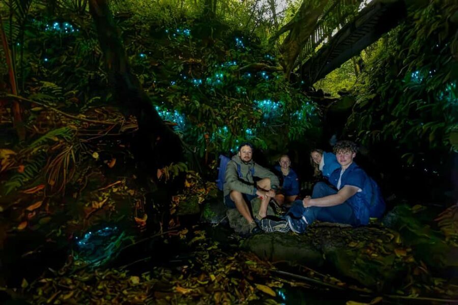 Auckland Glowworm Tour - Who Will Love This Tour?
