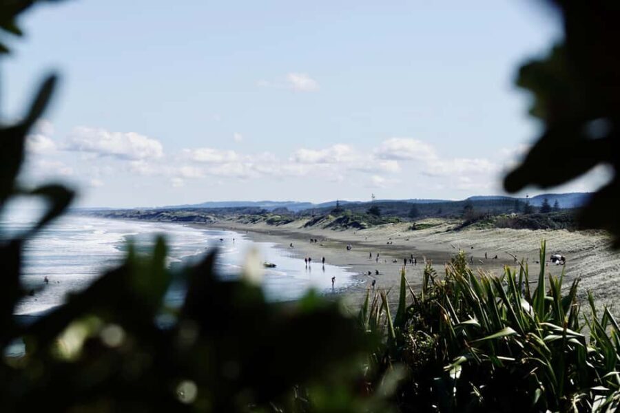 Auckland: Group Surfing Lesson with Muriwai Surf School - FAQ