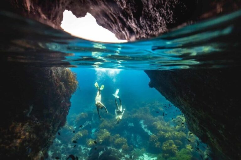 Auckland: Guided Snorkeling and Island Exploration Tours - Why This Tour Offers Great Value
