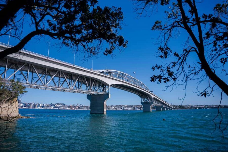 Auckland Half Day Attractions and Museums Tour - A Detailed Look at Each Stop