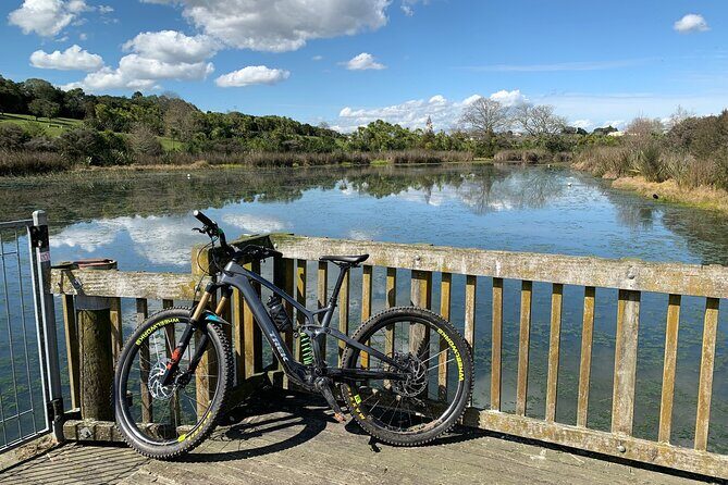 Auckland Half Day E-Bike Excursion - Who Will Love This Tour?