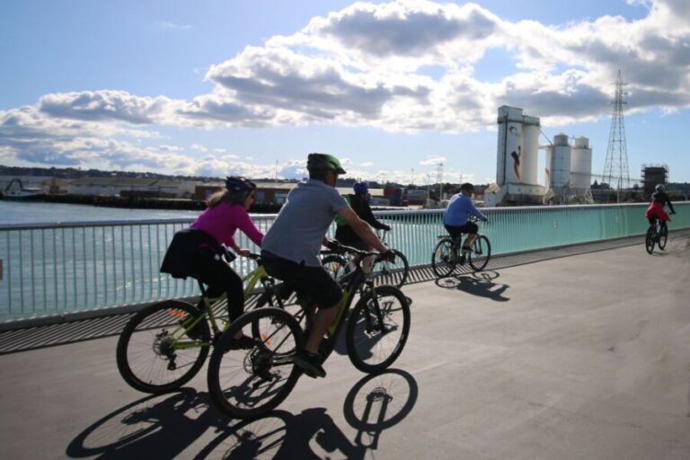 Auckland Half-Day Ebike Tour Excursion - What’s Included and Practical Details