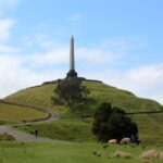 Auckland: Half-Day Private City Highlights Tour - Why This Tour Offers Value