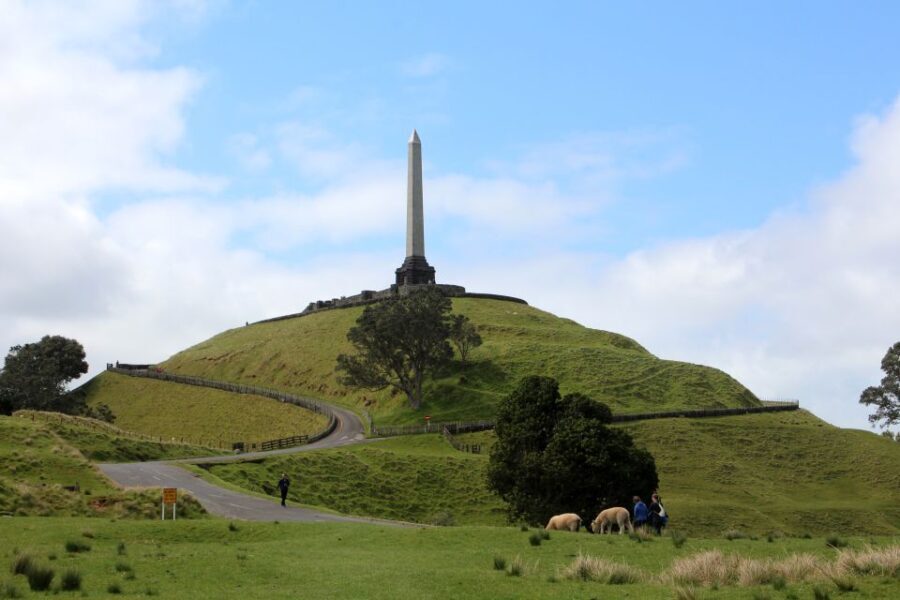 Auckland: Half-Day Private City Highlights Tour - Why This Tour Offers Value