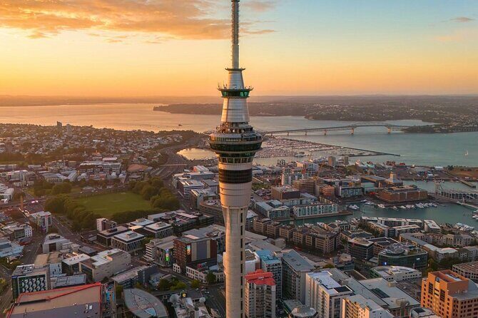 Auckland Half Day Tour Through Urban Wonders - Detailed Breakdown of the Itinerary