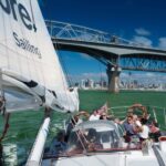 Auckland Harbour 1.5-Hour Sailing Cruise - Setting Sail: The Itinerary