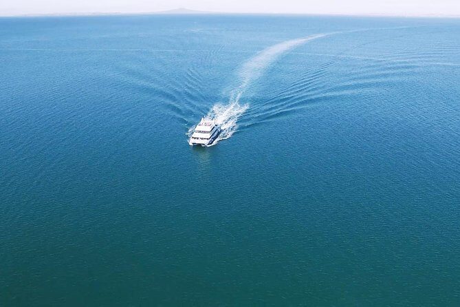 Auckland Harbour Cruise - Who Should Consider This Tour?